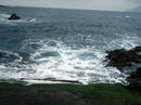 20100201.jpg