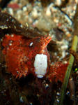 20100201_3.jpg