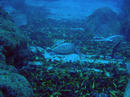 20100201_4.jpg
