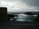 20100202.jpg