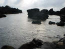 20100328_3.jpg