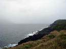 20100410.jpg
