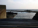 20100414_2.jpg