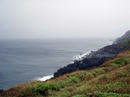 20100416.jpg