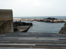 20100504_2.jpg
