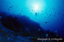 undersea1.jpg