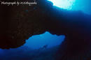 undersea6.jpg