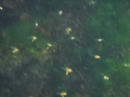 20120501_12.jpg