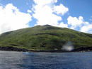 緑もはえる夏の海