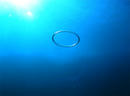 八重根も海は蒼いです