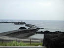 朝早くの底土