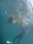 上から魚を見てみたり