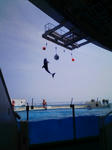 20080515142520.jpg