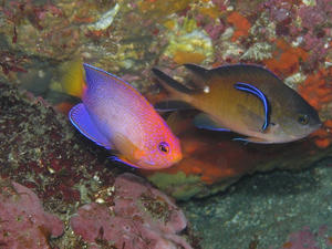 P1150009-renten.JPG