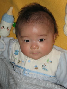 IMG_8444-ryu1.JPG