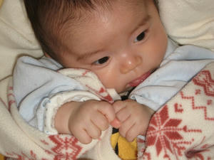 IMG_8181-ryu5.JPG