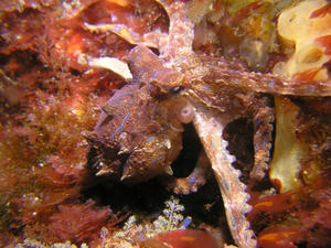 P4010029-hyoumon.JPG