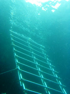 P4240024-hasigo.JPG