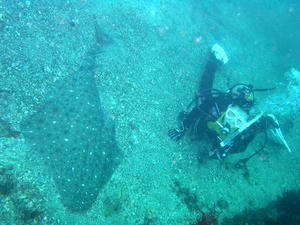 P7020013-korozame.JPG