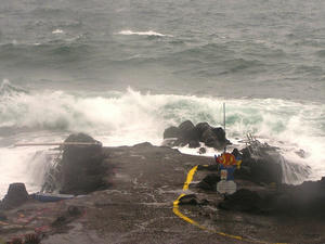 P8310001-akinohama.JPG