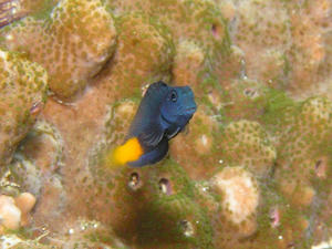 P9110013-nirami.JPG