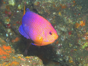 P9180001-renten.JPG