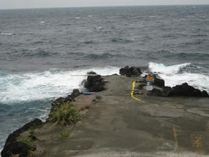 IMG_3626-akinohama.JPG