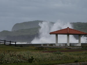 PA080033-mantatehama.JPG