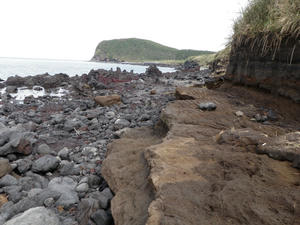 PA090093-keikai.JPG