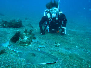 PA160039-kasuzame.JPG