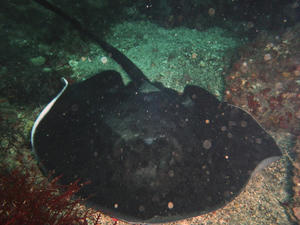 PA240026-madaraei.JPG