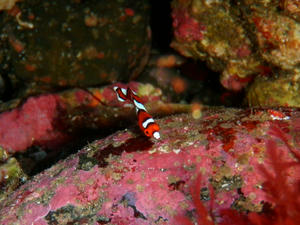 PA270008-tuyubera.JPG