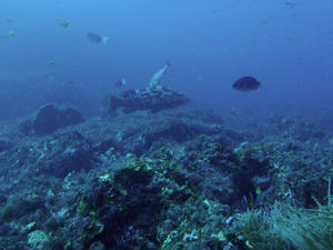 PB070013-kue.JPG