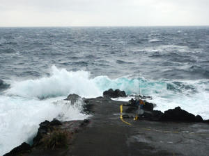 PB130003-akinohama.JPG