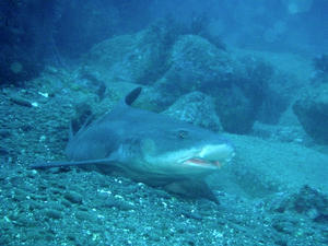PB240022-dochizame.JPG