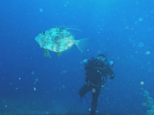 P1110005-matoudai.JPG
