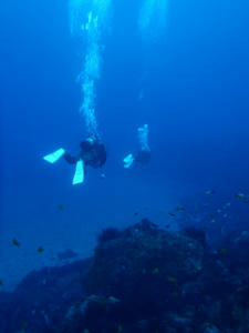 P3070005-akinohama.JPG