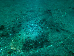 P3280032-korozame.JPG