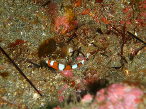P5140025-tuyubera.JPG