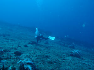 P6250021-akinohama.JPG