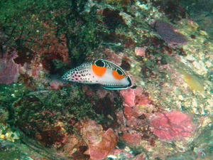 PB130016.jpg