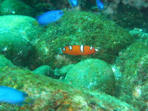 PB150007.jpg