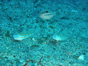 PC010008.jpg