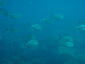 PC030001.jpg