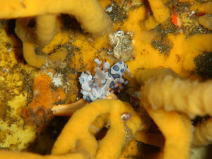 PC040005.jpg
