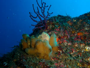 PC040057.jpg
