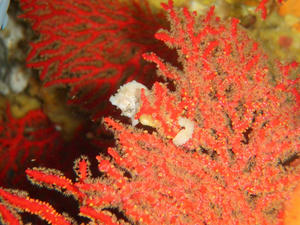 PC130078.jpg