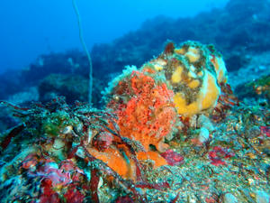 P1100015.jpg