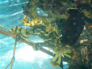 P7100044.jpg