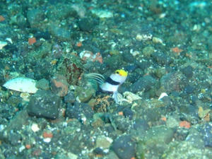111010-nejiri.jpg
